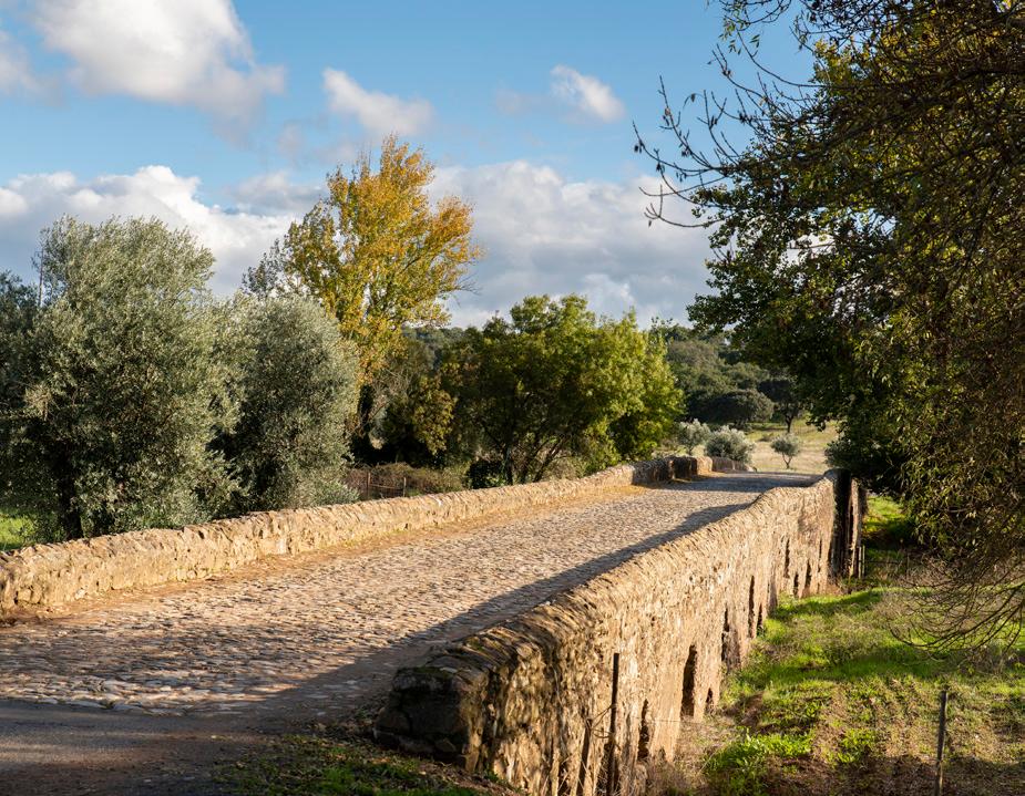 Ponte Romana Vila Ruiva