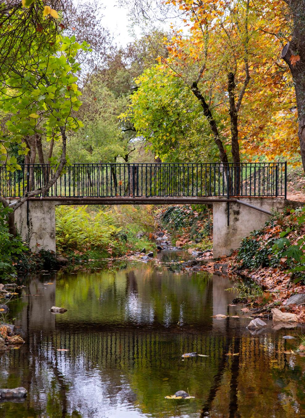 Termas de Sulfúrea