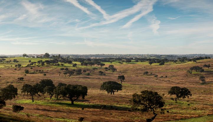 A caminho de Castro Verde