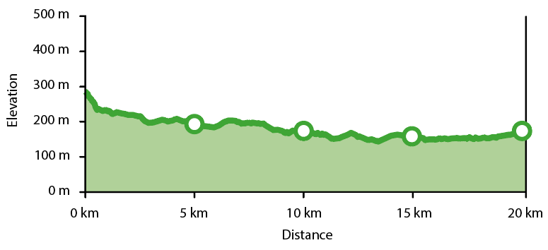 Stage 6 - Nascente