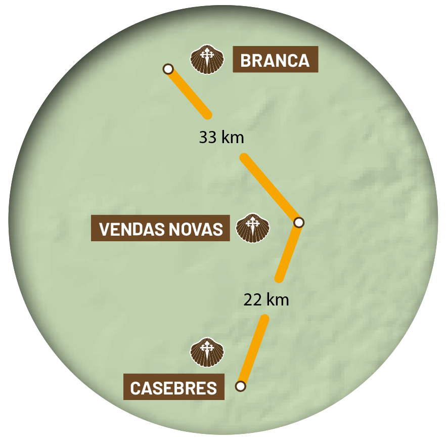 etapa-12-central
