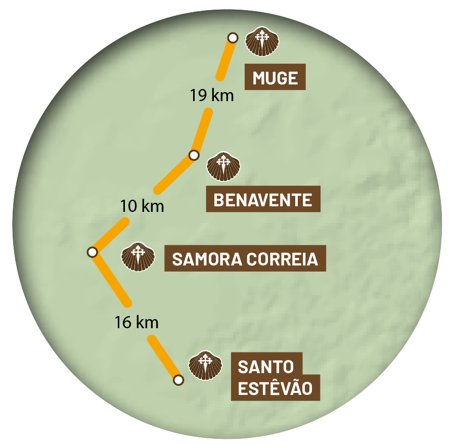 etapa-15-central