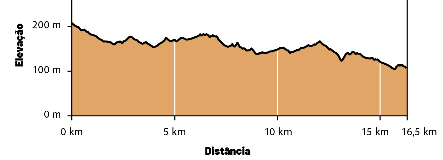 Altimetria Etapa 2