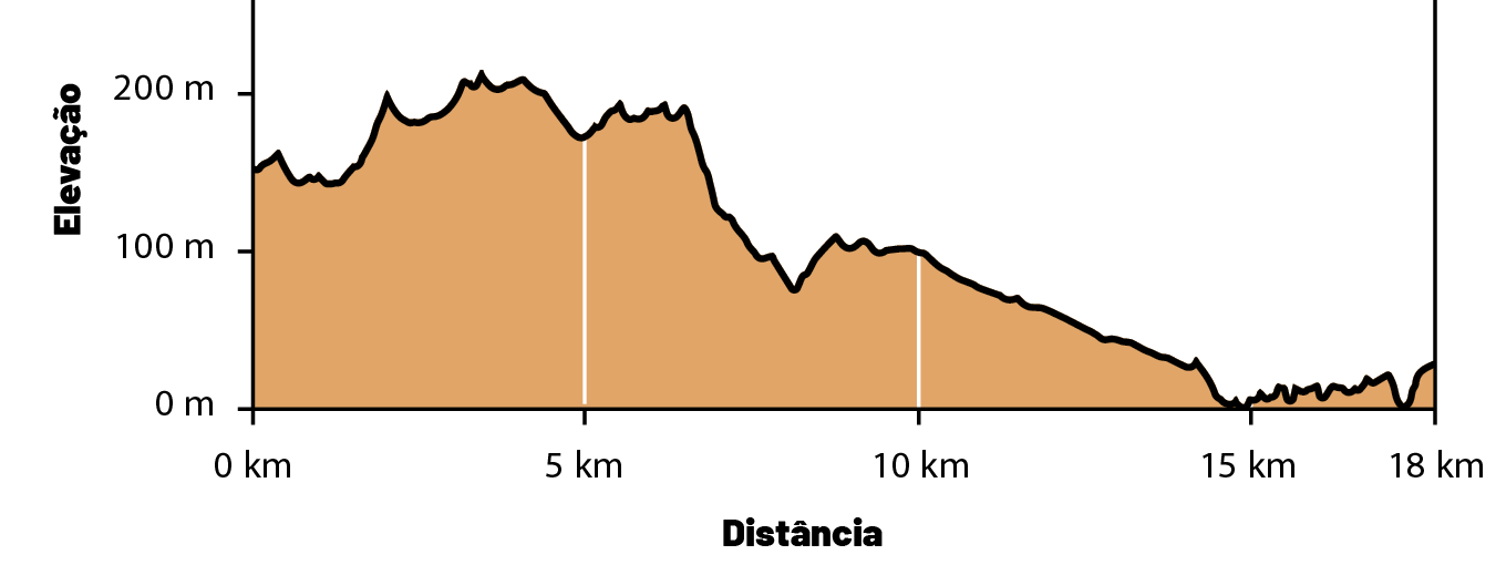 Altimetria Etapa 5