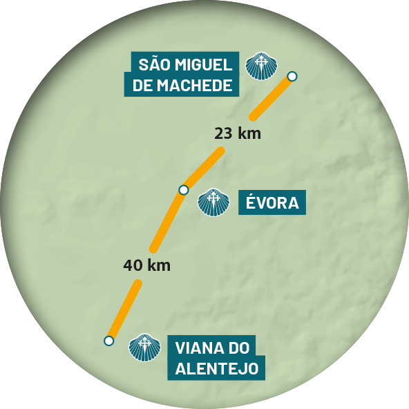 Mapa redondo etapa 8